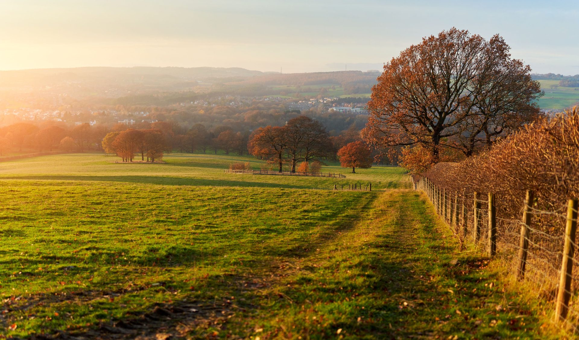 Autumn Budget Announcement